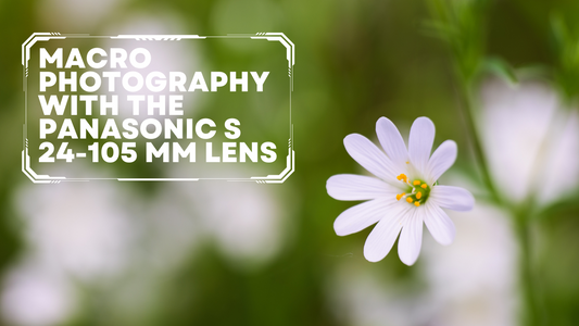 Is the Panasonic S 24-105 Lens Good for Macro Photography?