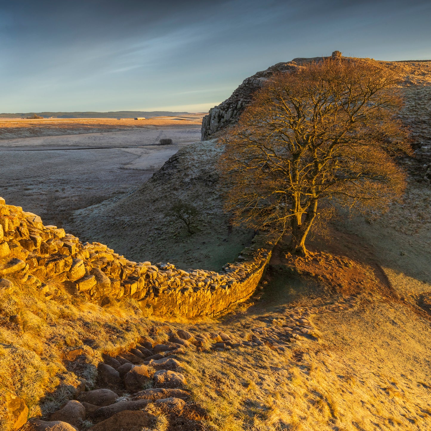 Remembering Sycamore Gap & Hadrian's Wall Greeting Cards (Pack of 6)