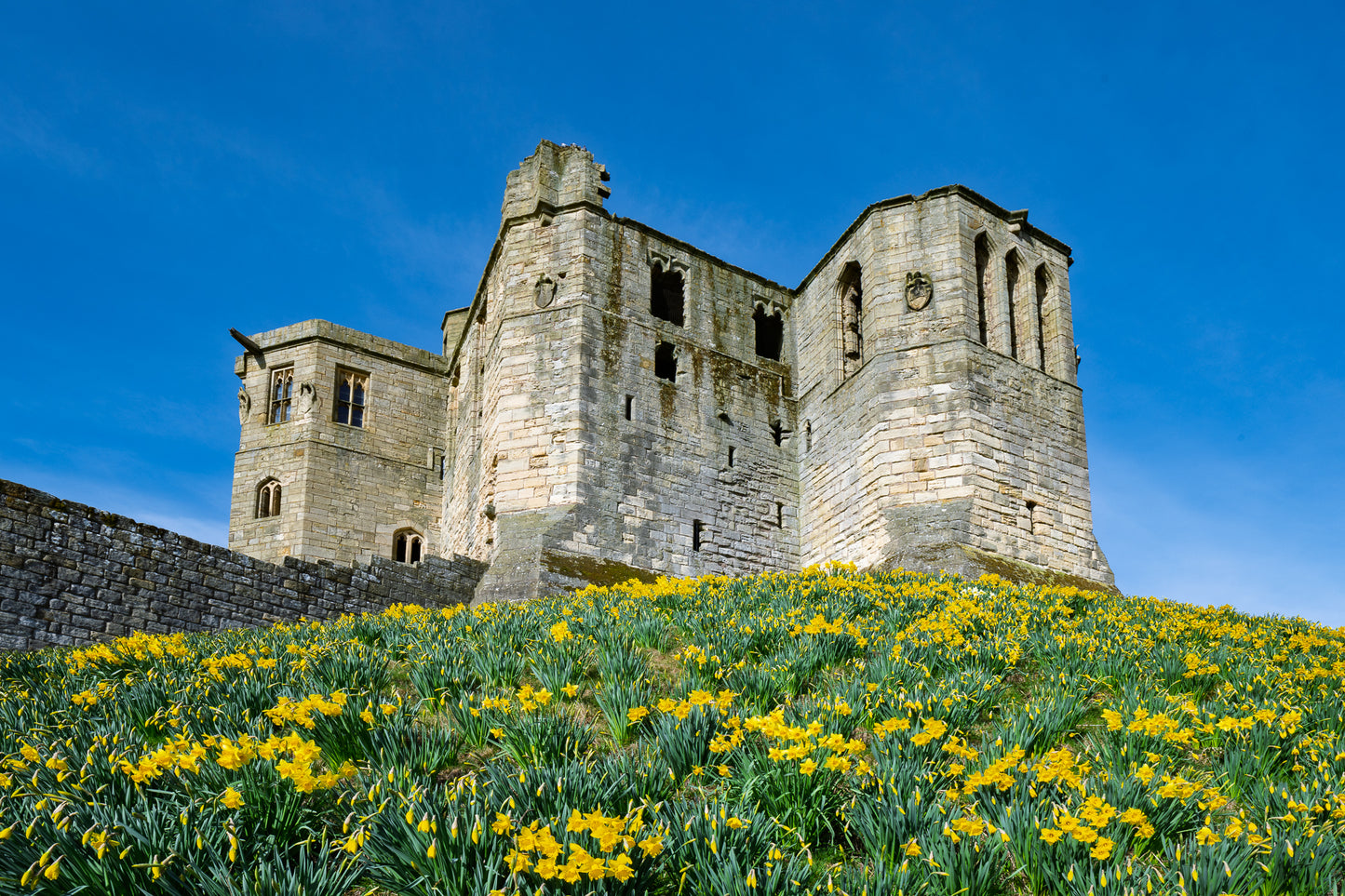 Northumberland 2026 Wall Calendar