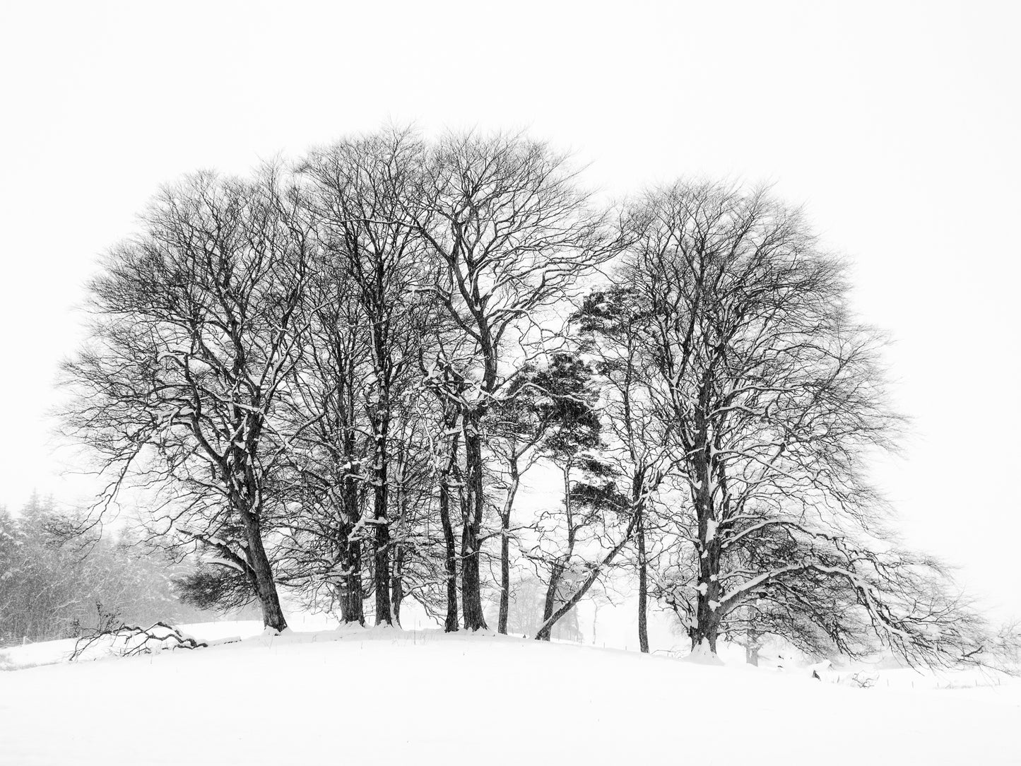 Northumberland Landscape Photography Tuition