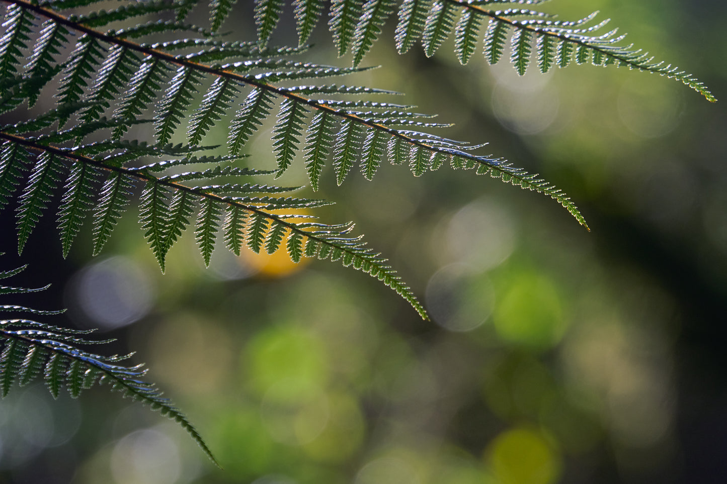 Private Landscape Photography Tuition - Online & On Location