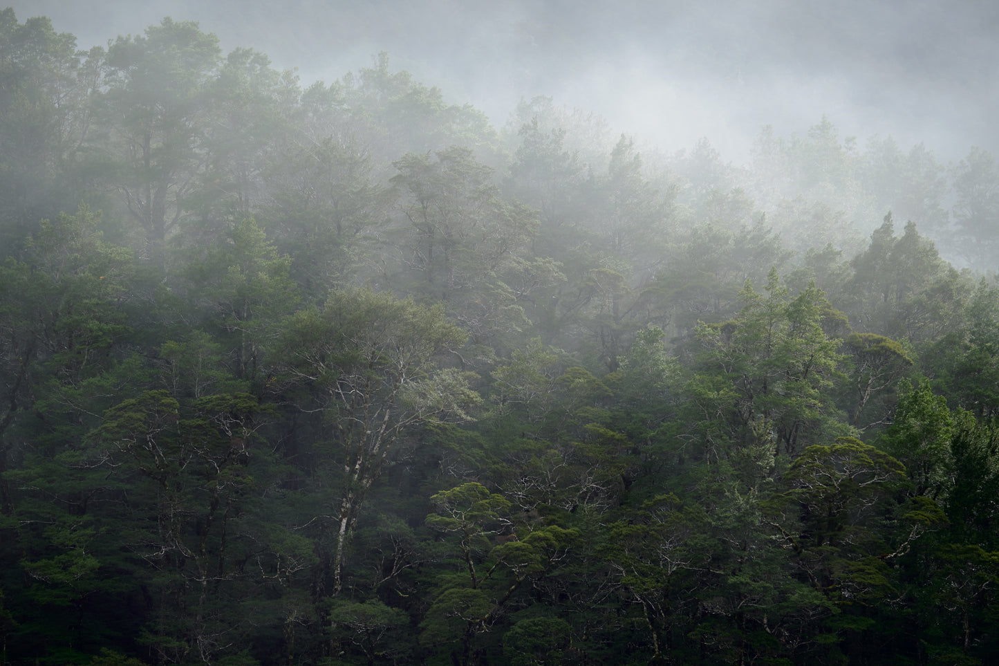 Private Landscape Photography Tuition - Online & On Location