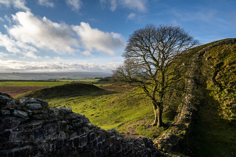 Northumberland Address Book