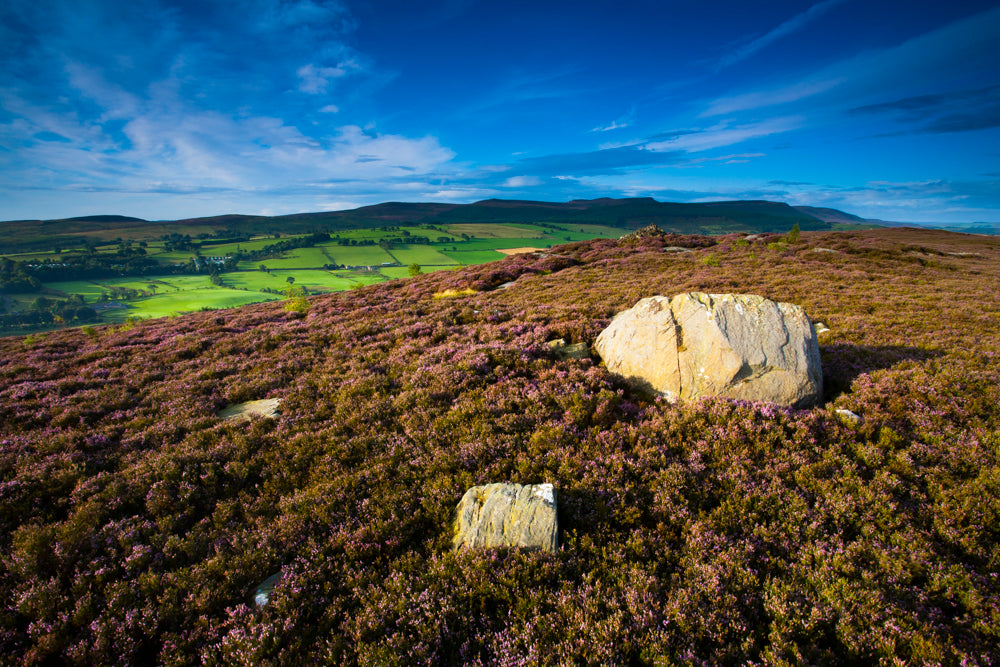 Northumberland Address Book