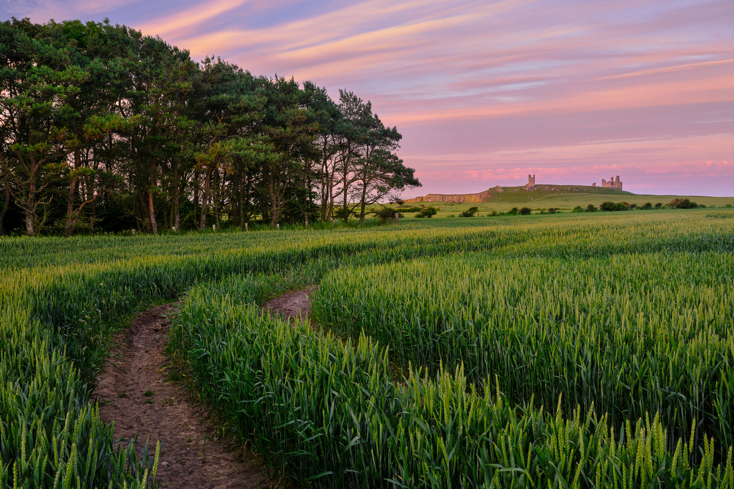 Dunstead Steads, Northumberland
