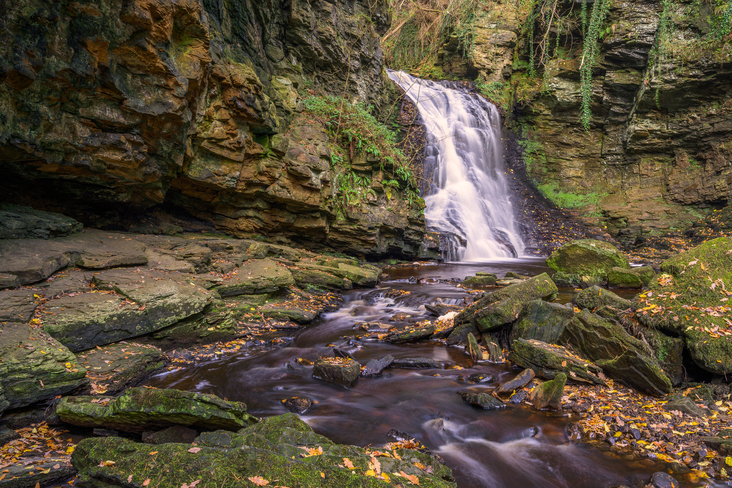 Hareshaw Linn, Northumberland