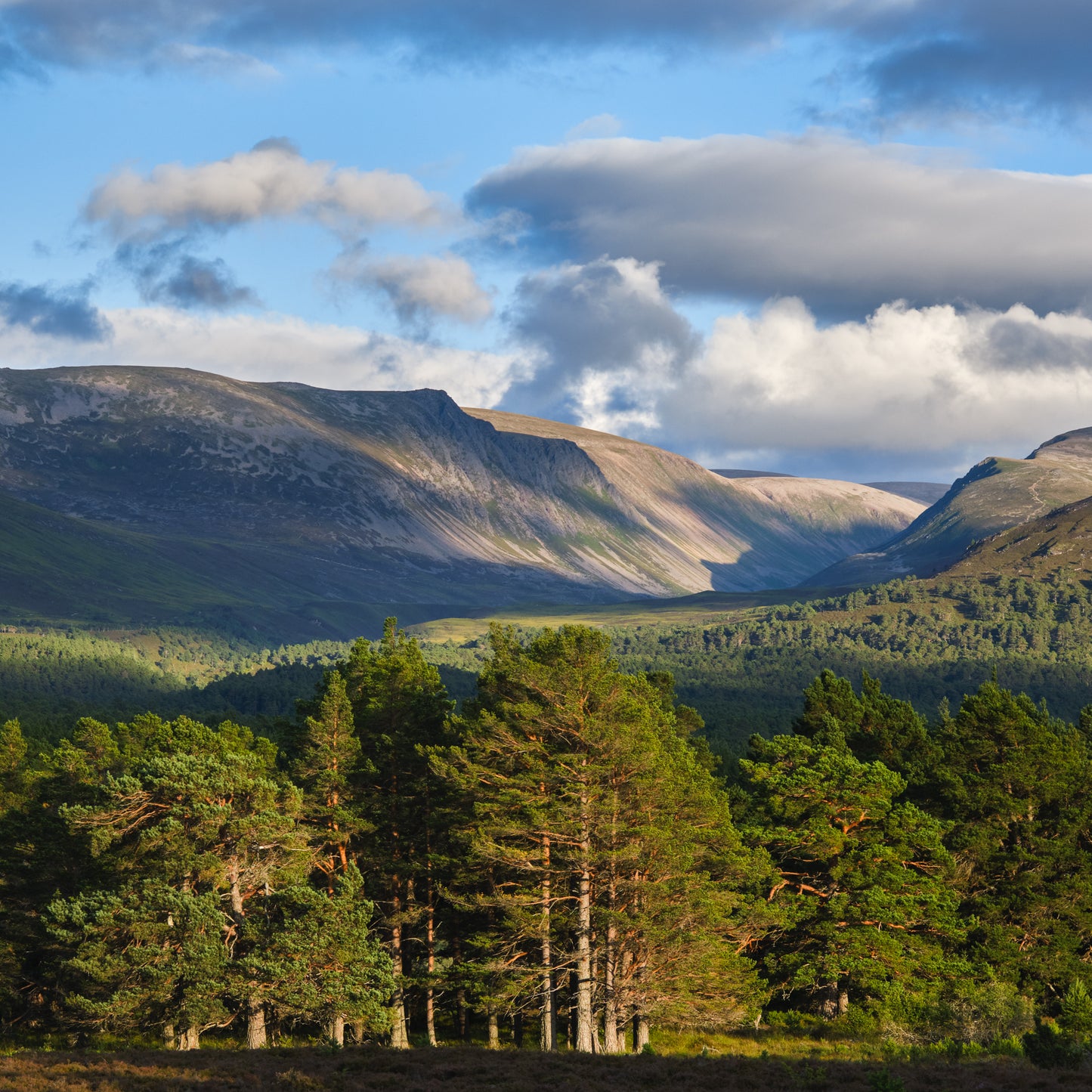 Scottish Highlands & Islands Greeting Cards (Pack of 6)