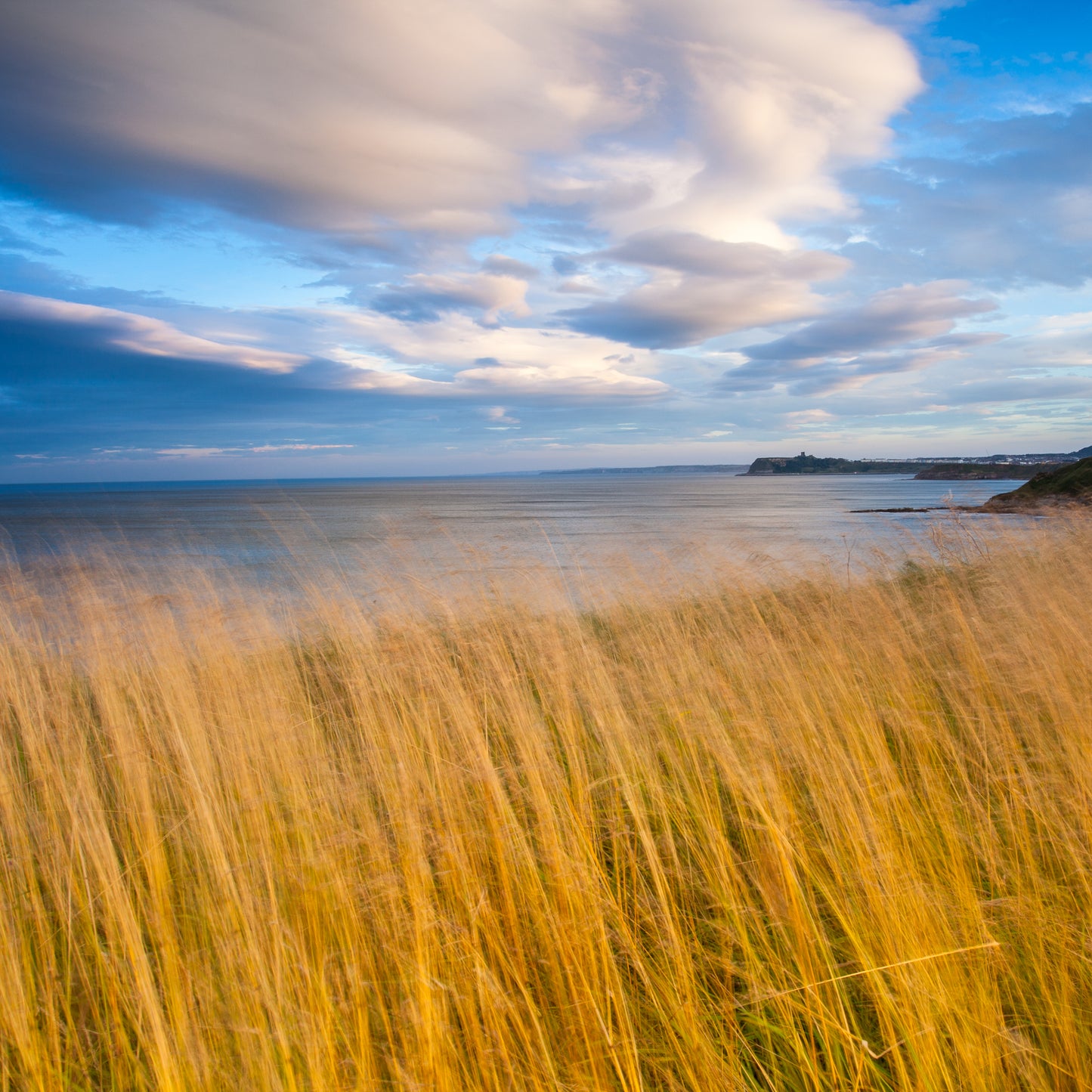 Yorkshire Dales & Coast Greeting Cards (Pack of 6)