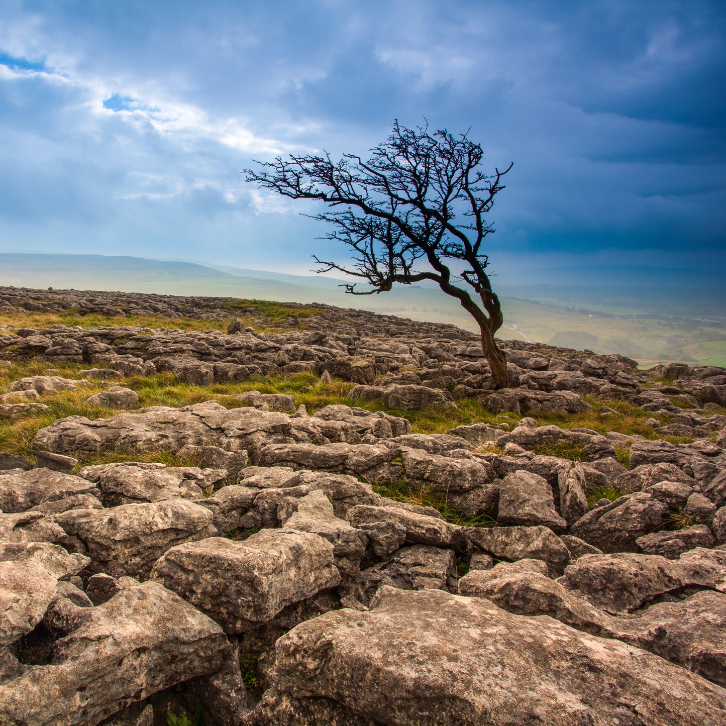 Yorkshire Dales & Coast Greeting Cards (Pack of 6)