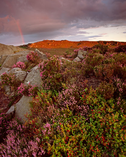 Coquet Valley  - Northumberland Photography Workshop