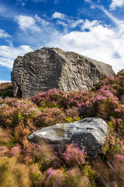 Coquet Valley  - Northumberland Photography Workshop