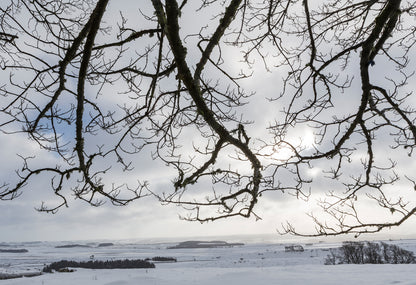 Hadrian’s Wall - Northumberland Photography Workshop