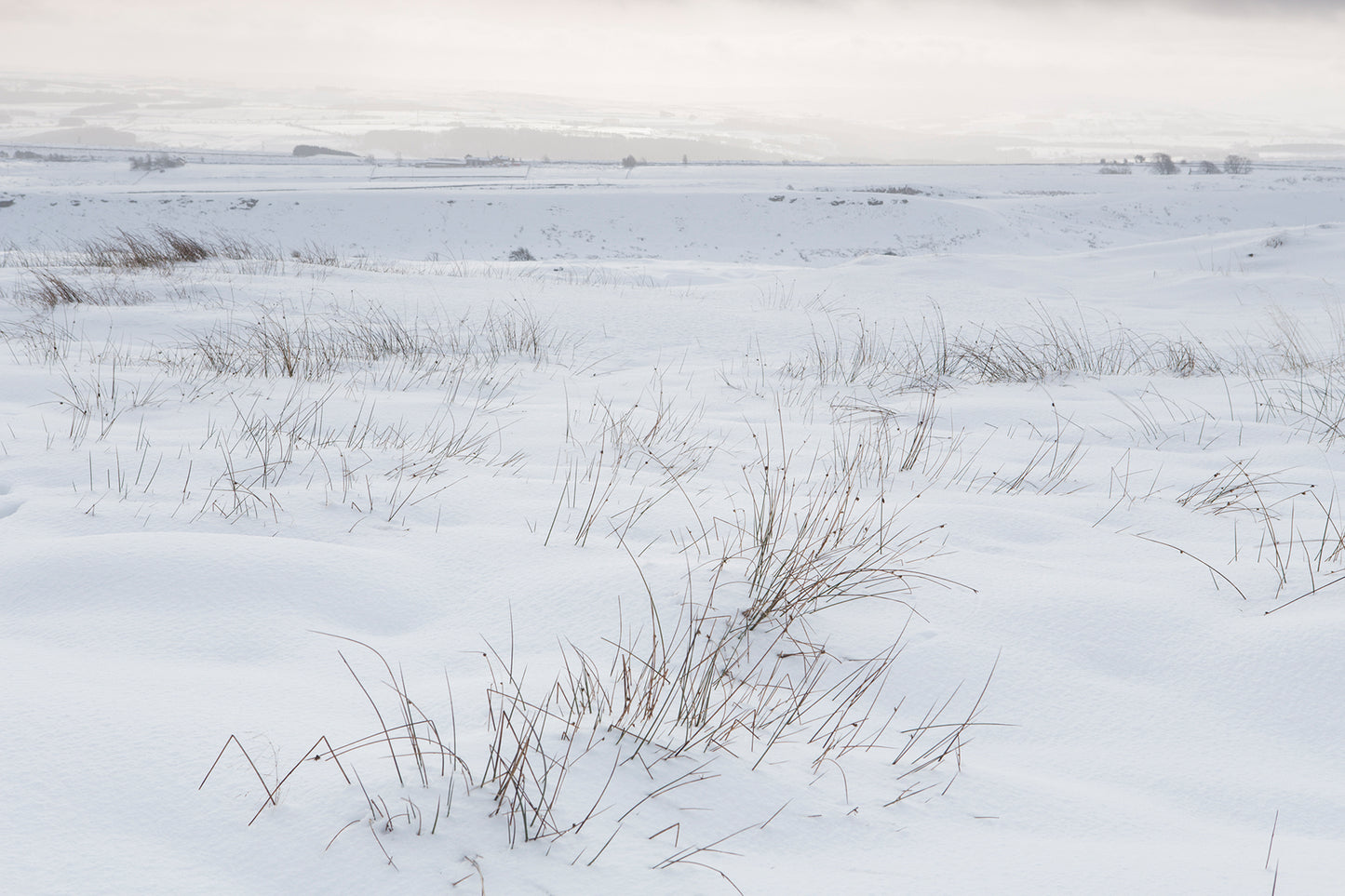 Hadrian’s Wall - Northumberland Photography Workshop