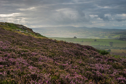 Rothbury Lordenshaws & Dove Crag - Northumberland Photography Workshop