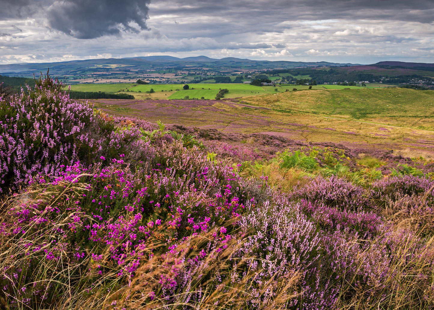 Rothbury Lordenshaws & Dove Crag - Northumberland Photography Workshop