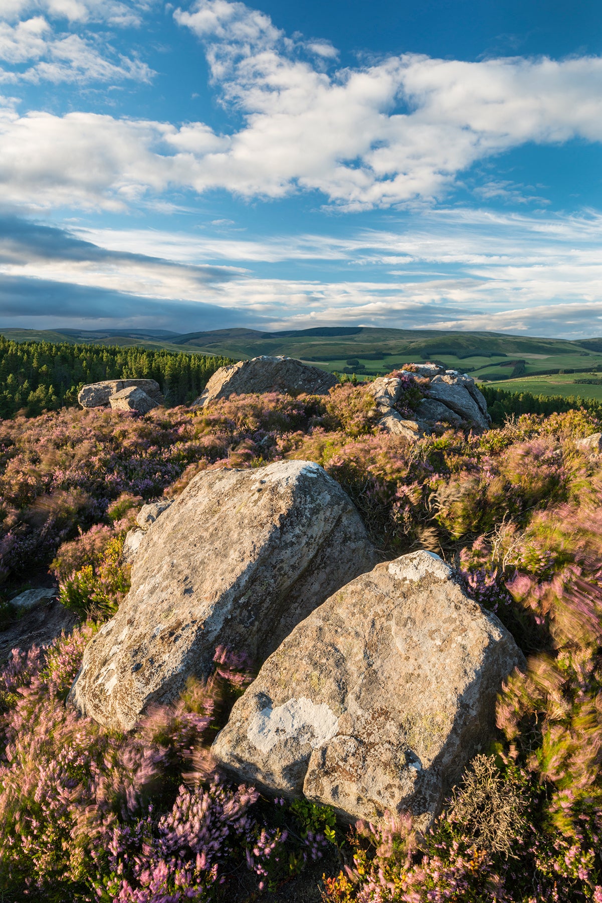 Coquet Valley  - Northumberland Photography Workshop