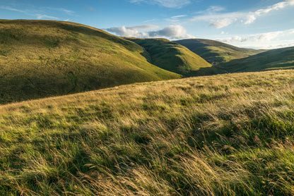 Coquet Valley  - Northumberland Photography Workshop