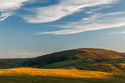 Coquet Valley  - Northumberland Photography Workshop