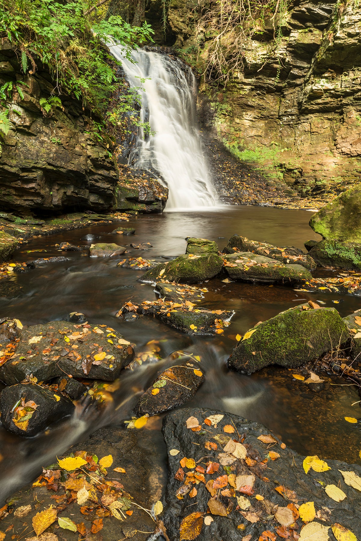 Hareshaw Linn & Bellingham - Northumberland Photography Workshop