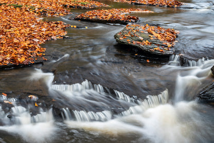 Hareshaw Linn & Bellingham - Northumberland Photography Workshop