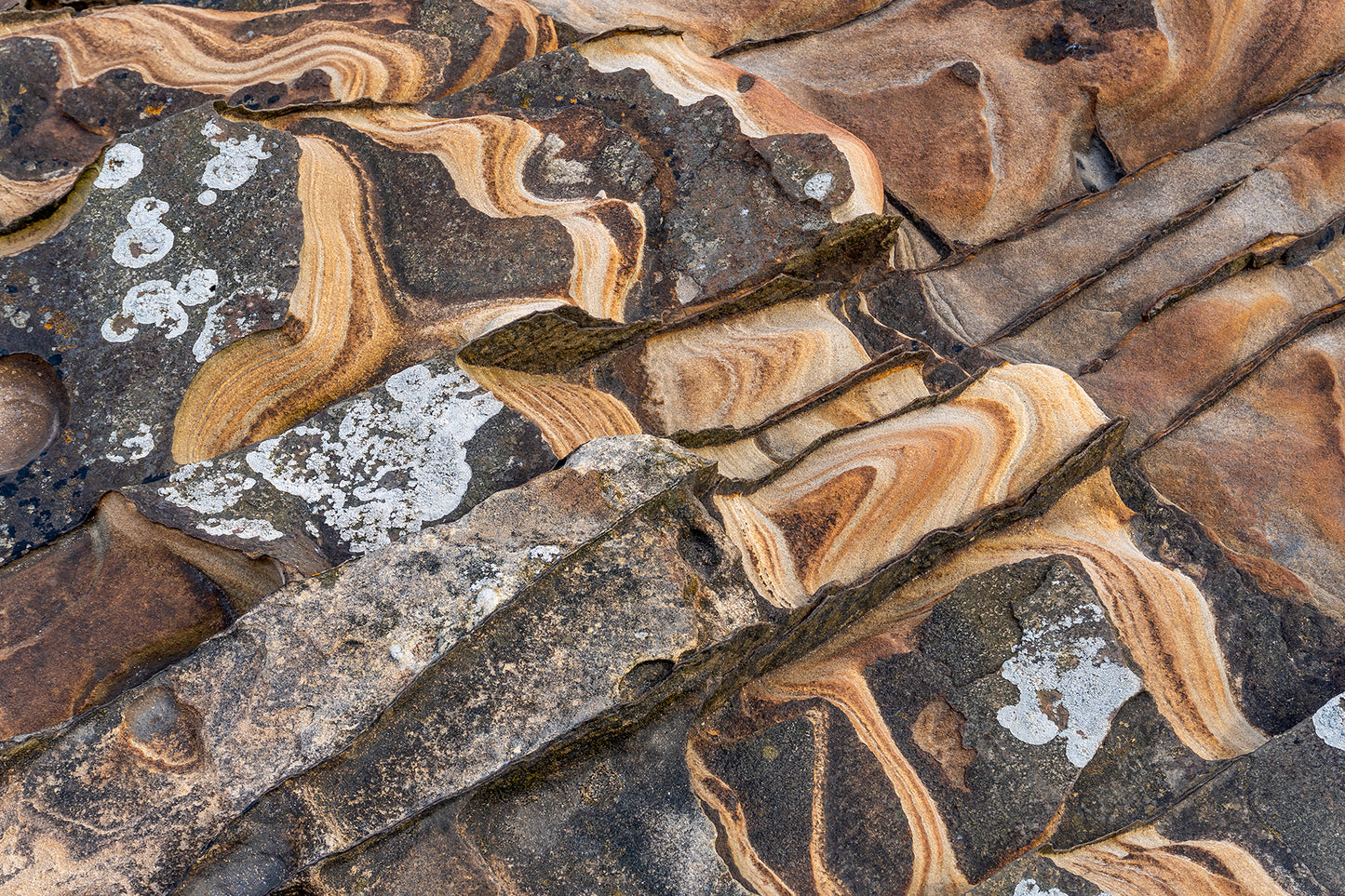 Dunstanburgh Castle and Coast - Northumberland Photography Workshop