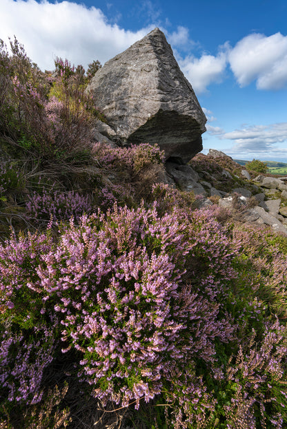 Coquet Valley  - Northumberland Photography Workshop