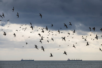 Whitley Bay and Seaton Sluice - Northumberland Photography Workshop