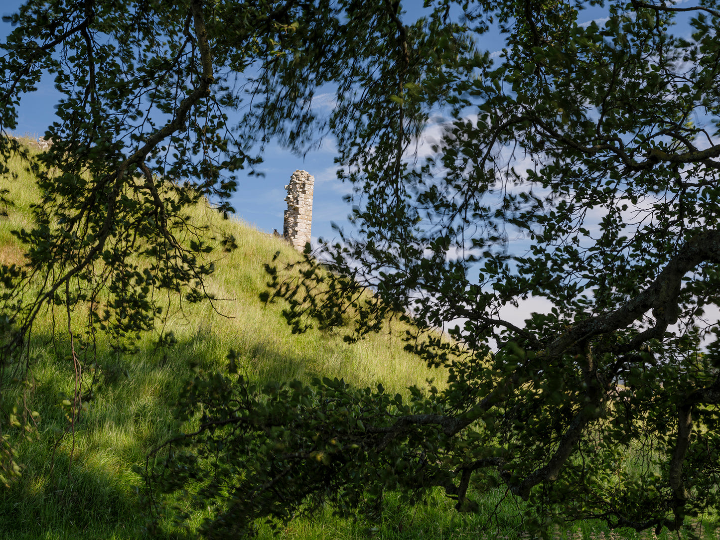 Coquet Valley  - Northumberland Photography Workshop