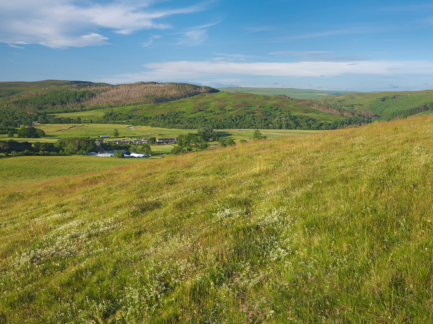 Coquet Valley  - Northumberland Photography Workshop