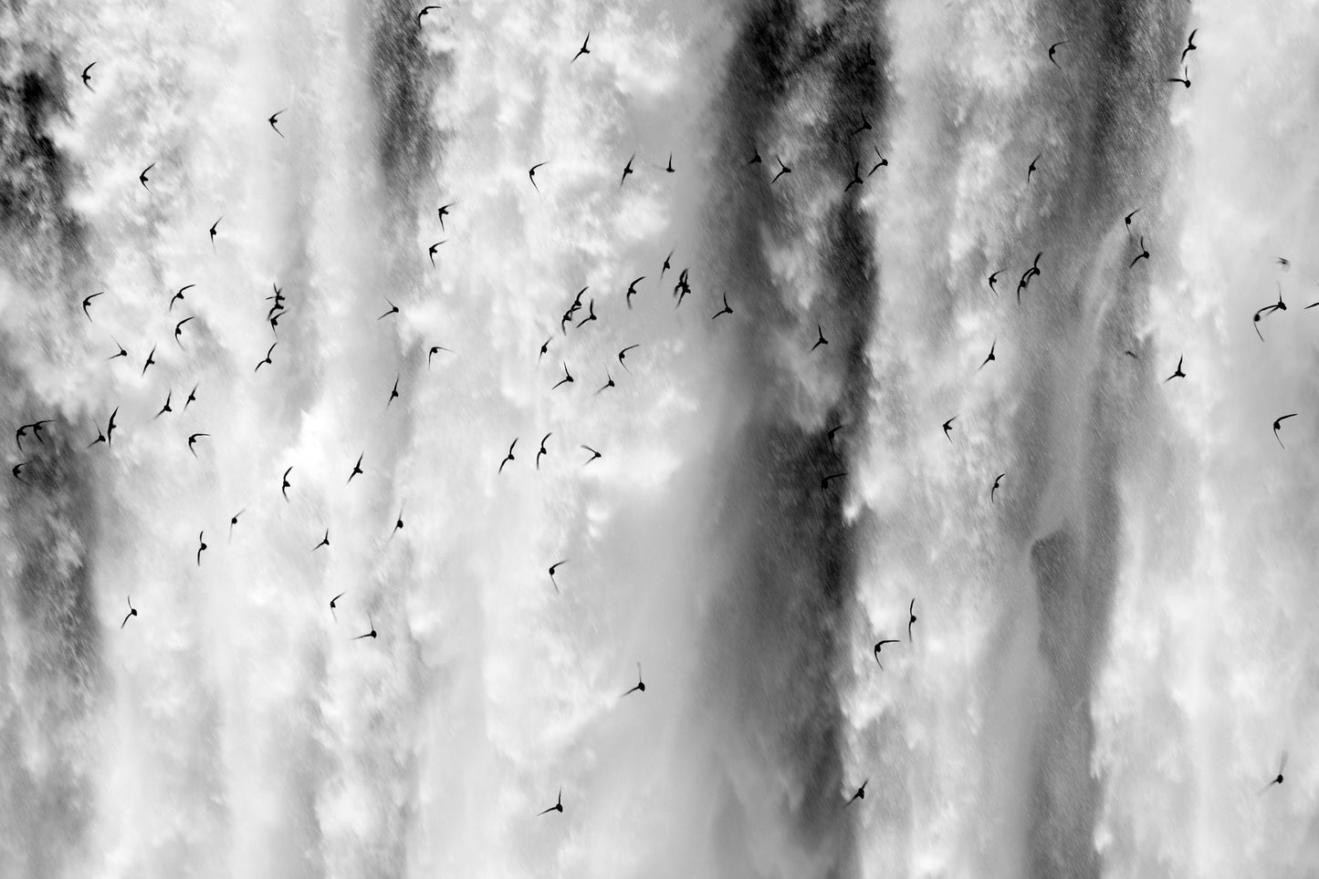 The Photography Circle – Learn, Create & Improve Your Photography Online