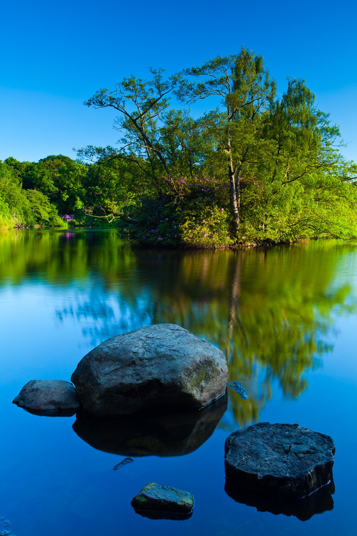 Bolam Lake & Shaftoe Crags - Northumberland Photography Workshop