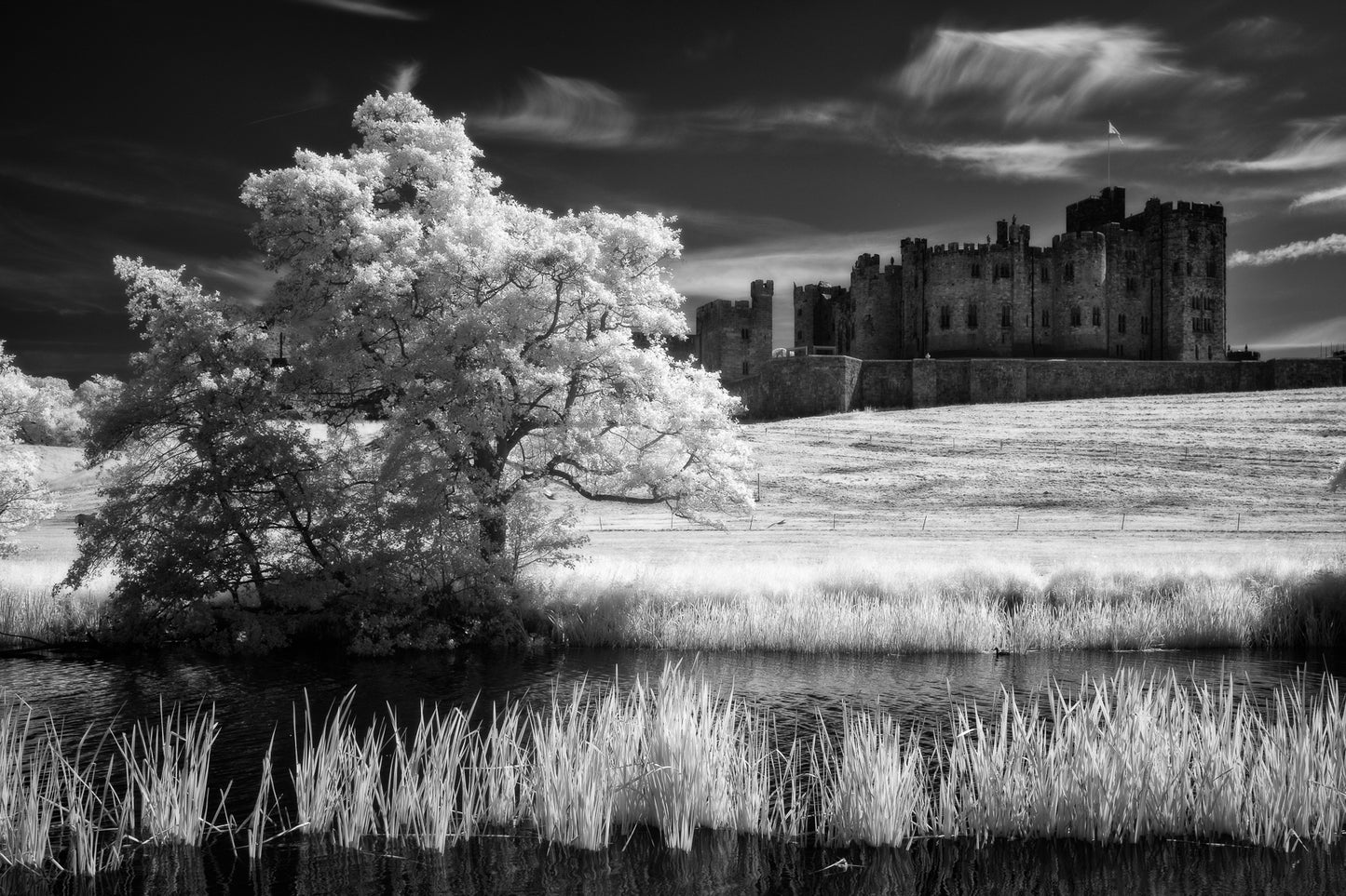 Alnwick  - Northumberland Photography Workshop