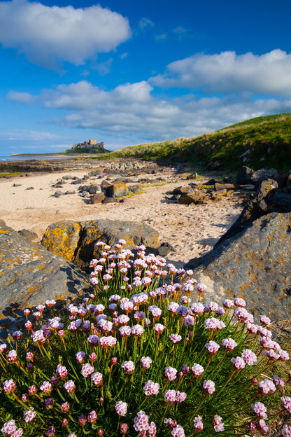 Bamburgh Castle & Coast - Northumberland Photography Workshop