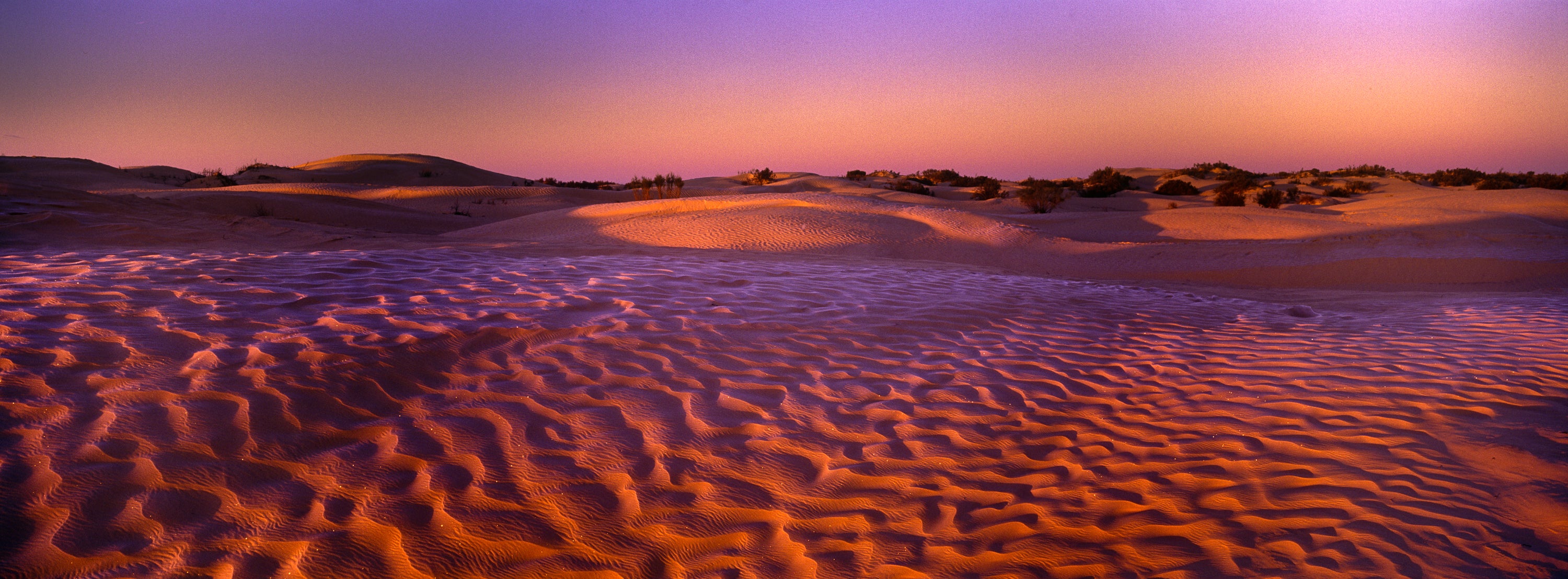 TUNISIA, Zaafrane, Sahara Desert.  Morning light illuminates the frost covered  patterns of the sand dunes of the great erg oriental