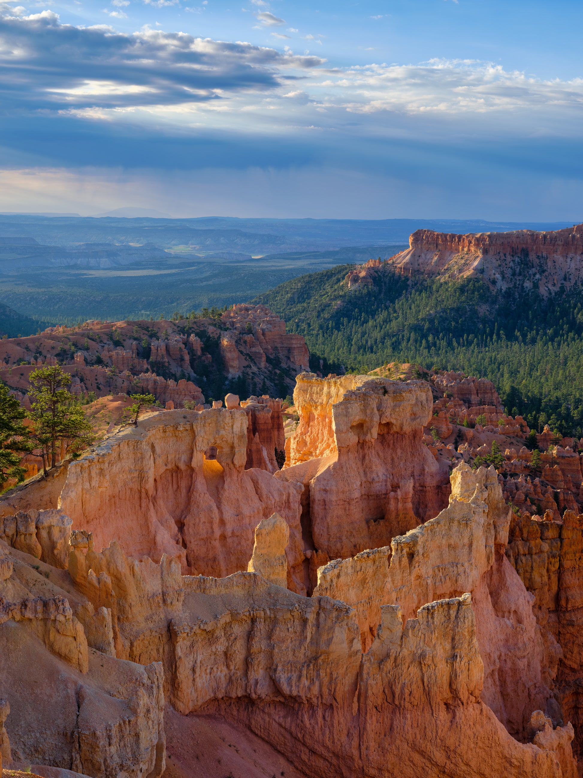 United States of America, Utah, Bryce Canyon National Park. Hoodoos dominate the landscape of the  Bryce Amphitheater in the Bryce Canyon National Park