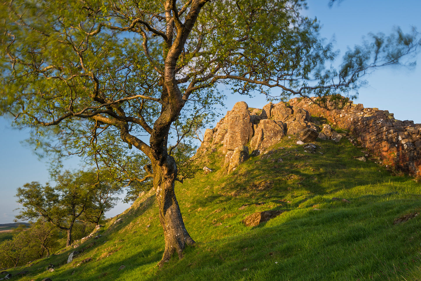 Hadrian’s Wall - Northumberland Photography Workshop