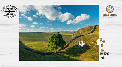 Sycamore Gap and Hadrian's Wall, Northumberland, 1000 Piece Jigsaw Puzzle