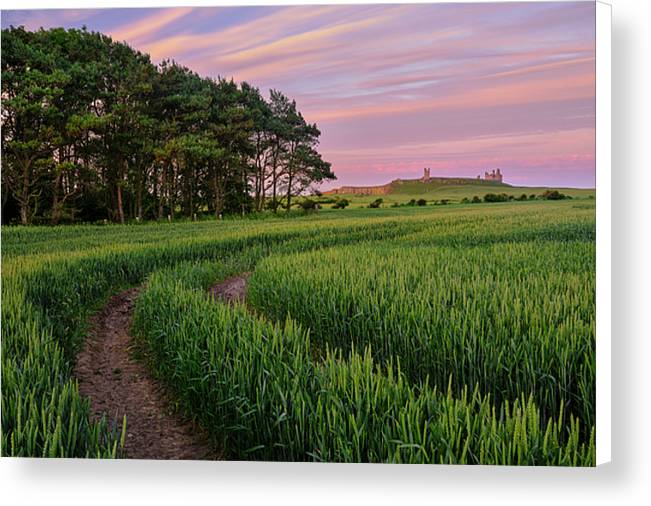 Dunstead Steads, Northumberland Canvas Print