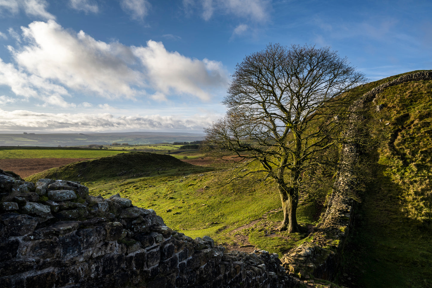 Sycamore Gap & Hadrian's Wall, Northumberland